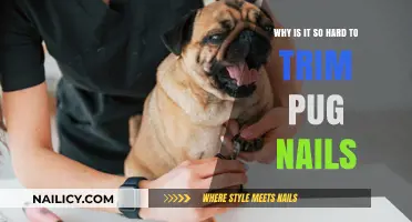 Trimming Your Pug's Nails: A Difficult Task