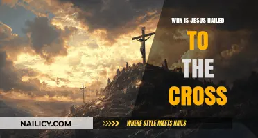 Why Jesus Was Nailed to the Cross: Understanding the Crucifixion