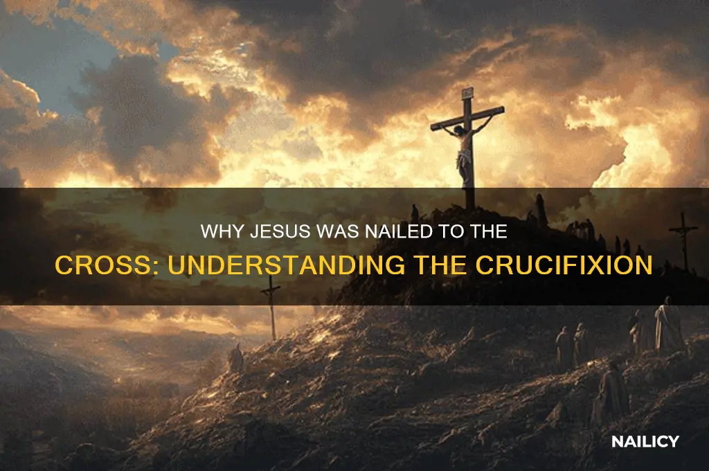 why is jesus nailed to the cross