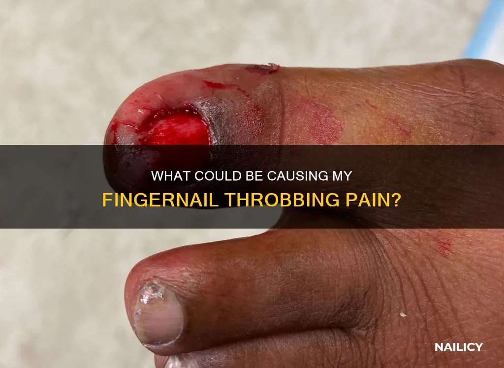 why is my finger nail throbbing