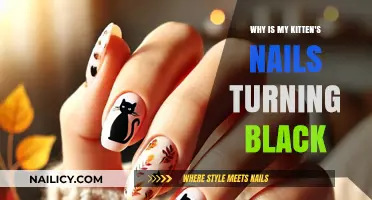 Why Are My Kitten's Nails Turning Black? Causes Explained