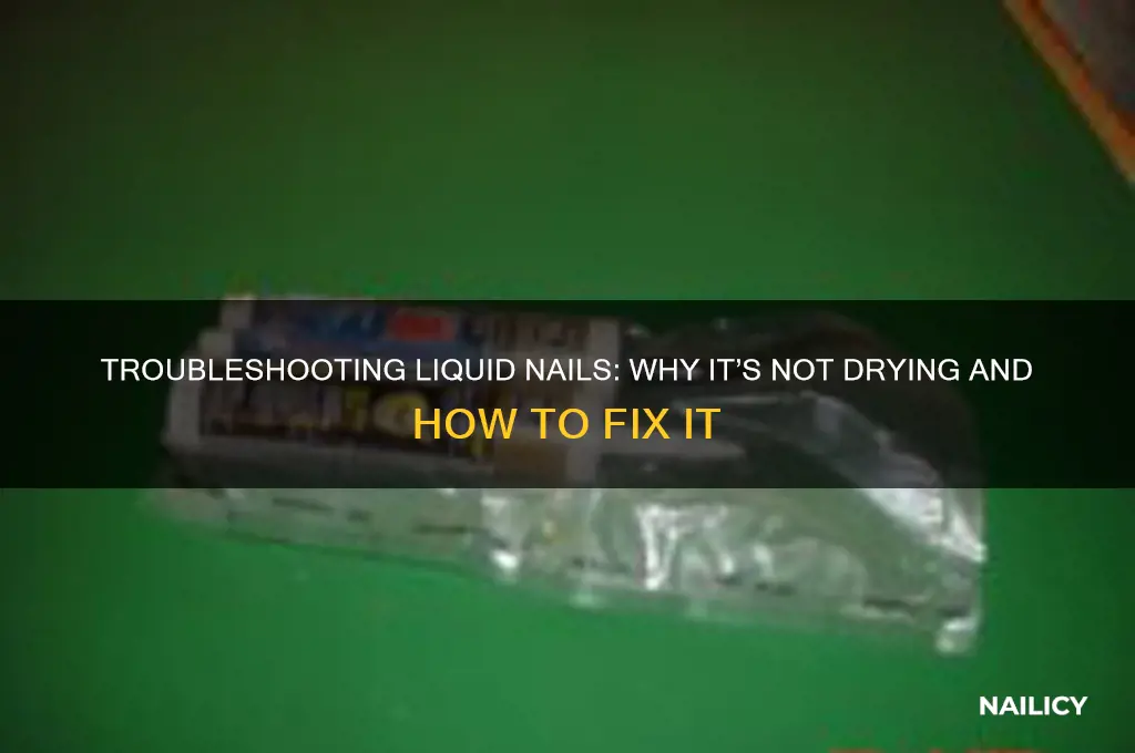 why is my liquid nails not drying