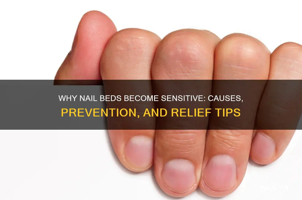 why is my nail bed so sensitive