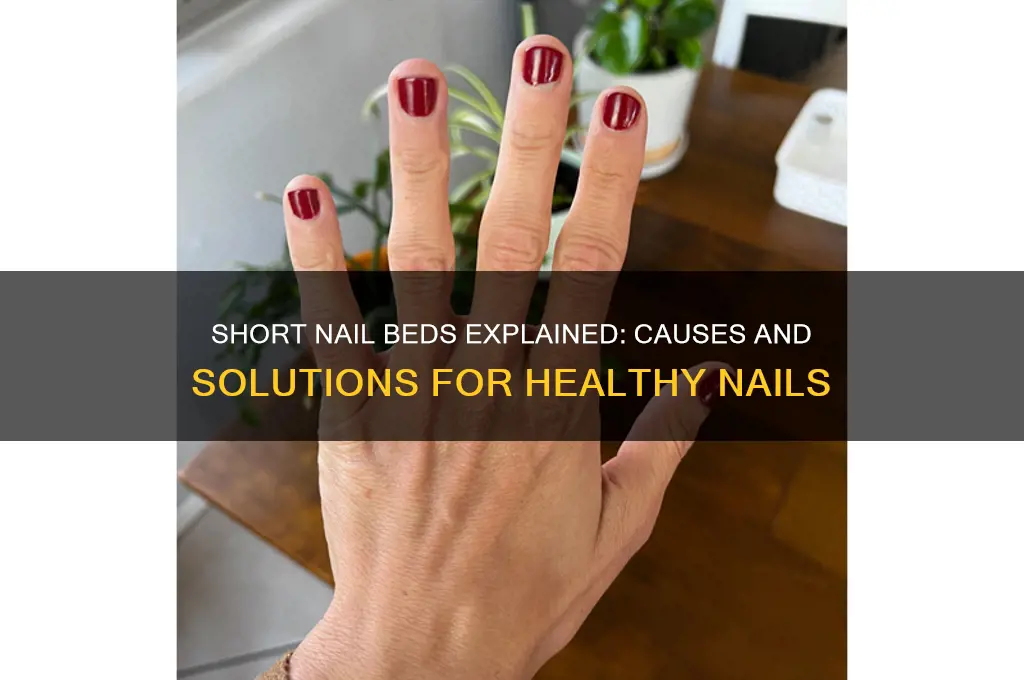 why is my nail bed so short