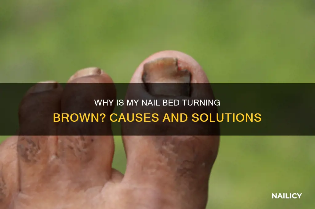 why is my nail bed turning brown