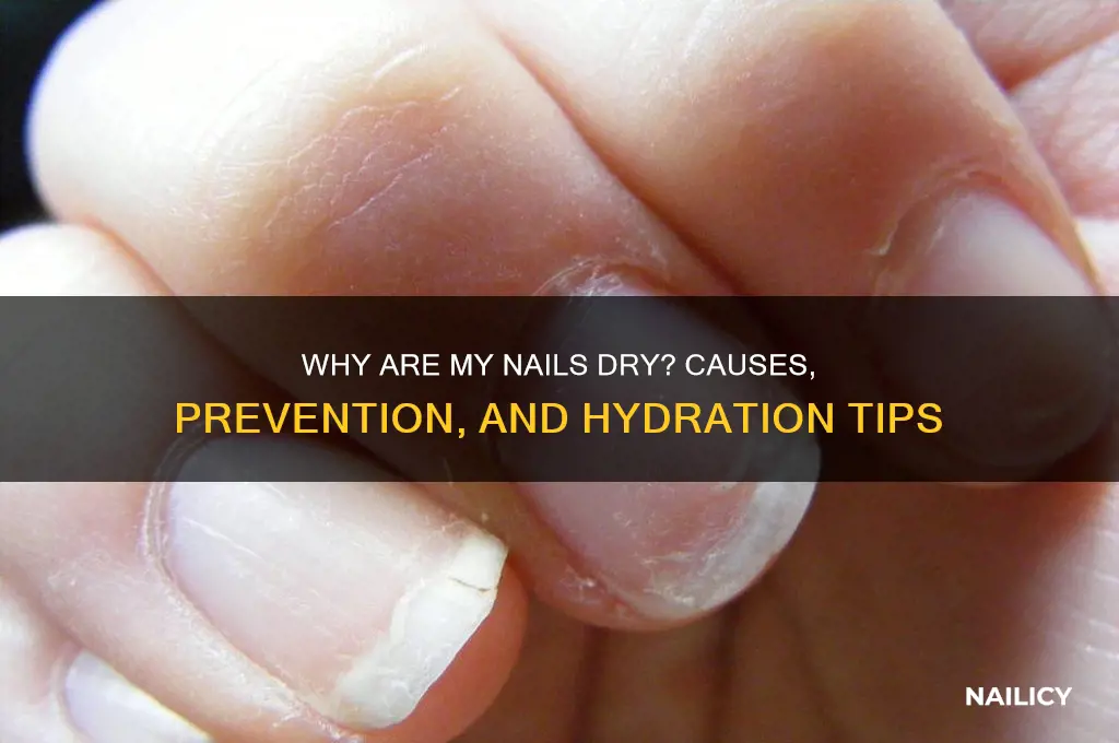 why is my nail dry