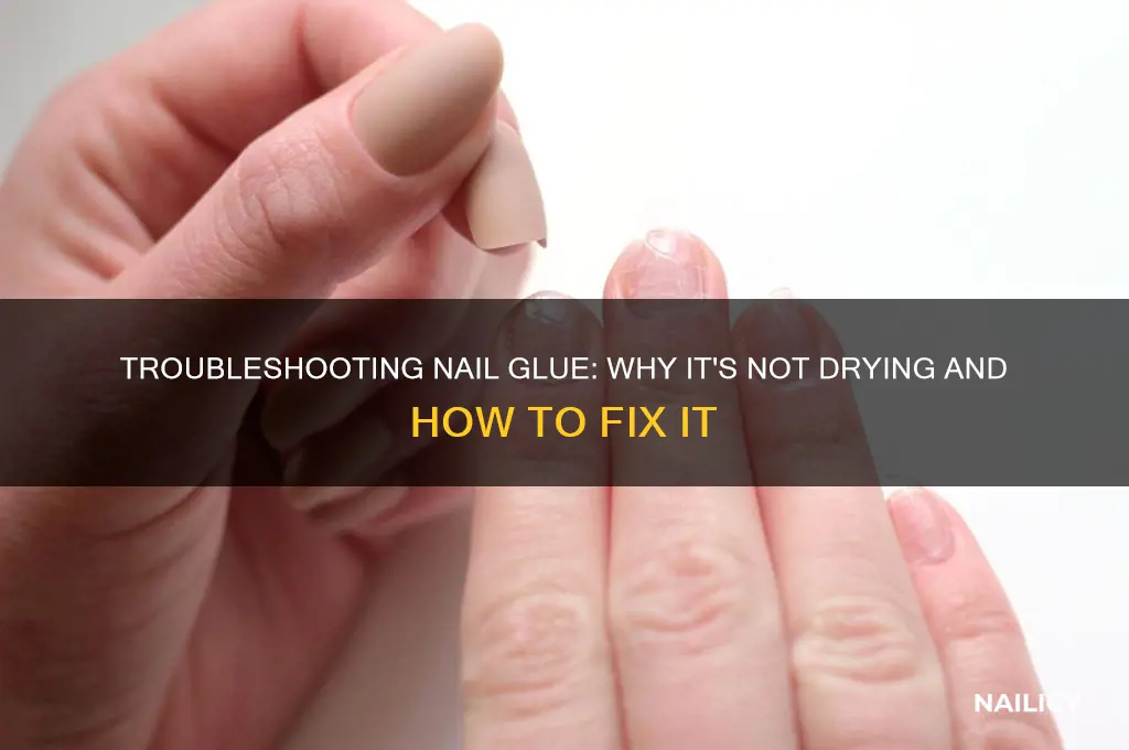 why is my nail glue not drying