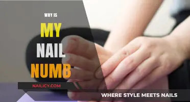 Why Is My Nail Numb? Causes, Concerns, and Solutions Explained