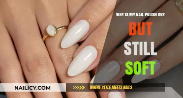 Soft Nail Polish Mystery: Why It Dries But Stays Flexible