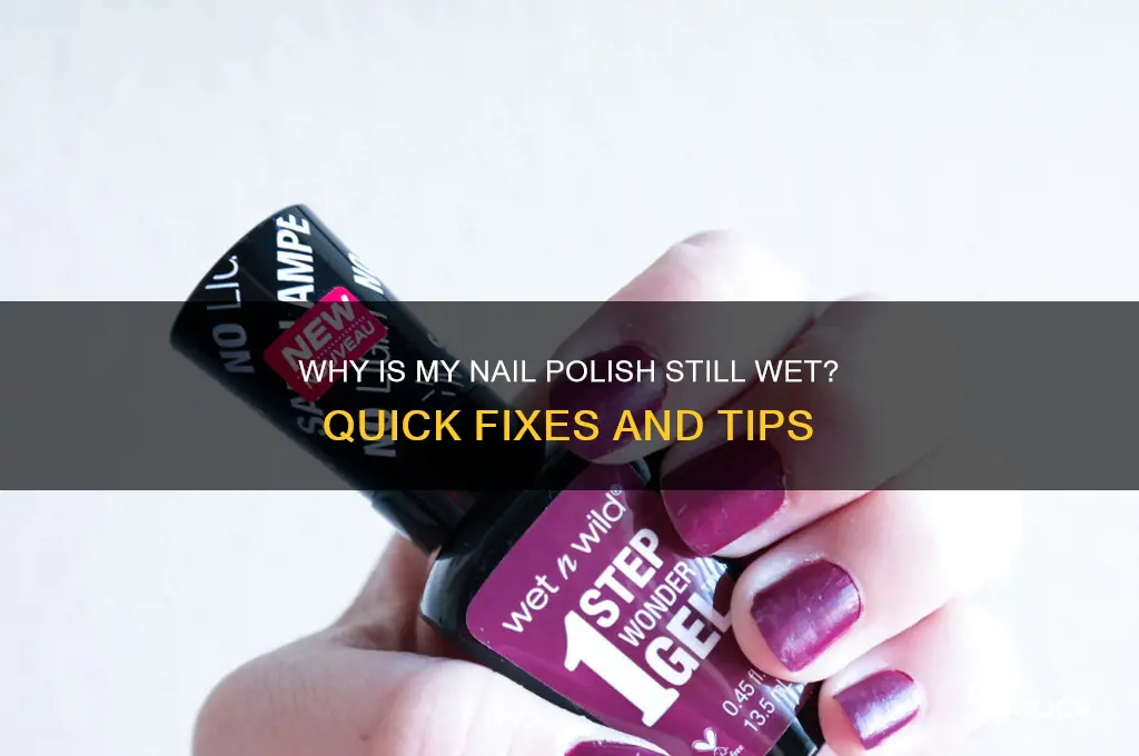 why is my nail polish still wet