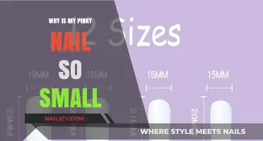 Why Your Pinky Nail is Smaller: Uncovering the Science Behind It