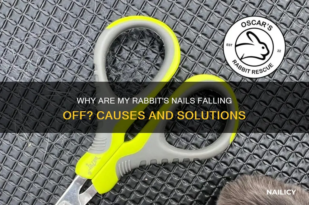 why is my rabbits nails falling off
