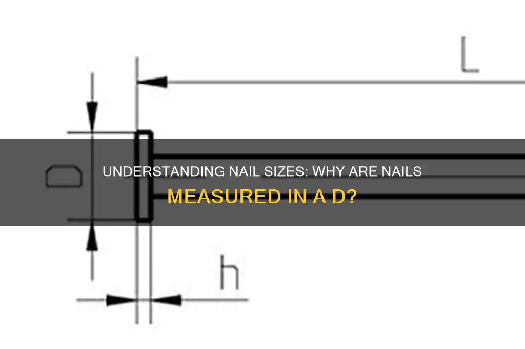 why is nail measured in a d