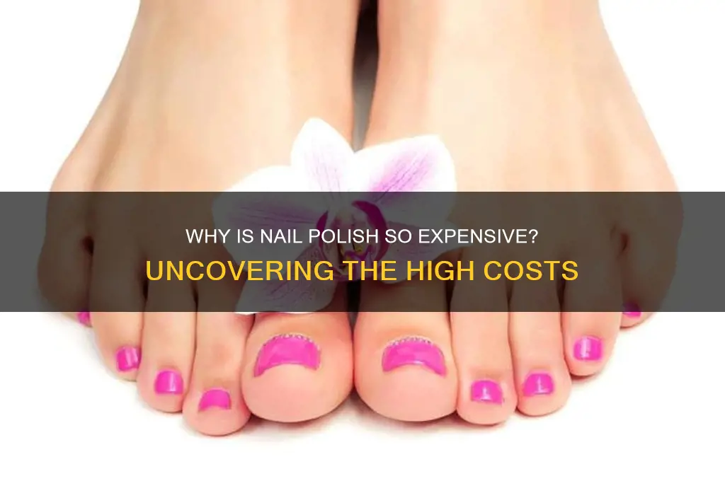 why is nail polish so expensive
