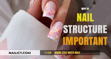 Understanding Nail Structure: Key to Health, Beauty, and Functionality