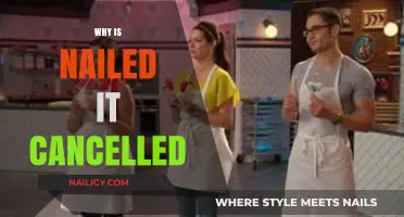 Nailed It Cancelled: Reasons Behind the Baking Show's Unexpected End
