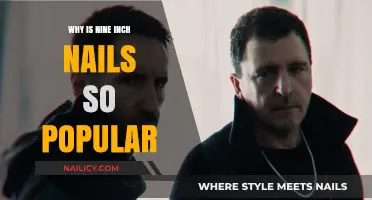 Nine Inch Nails' Enduring Appeal: Unraveling Their Iconic Popularity