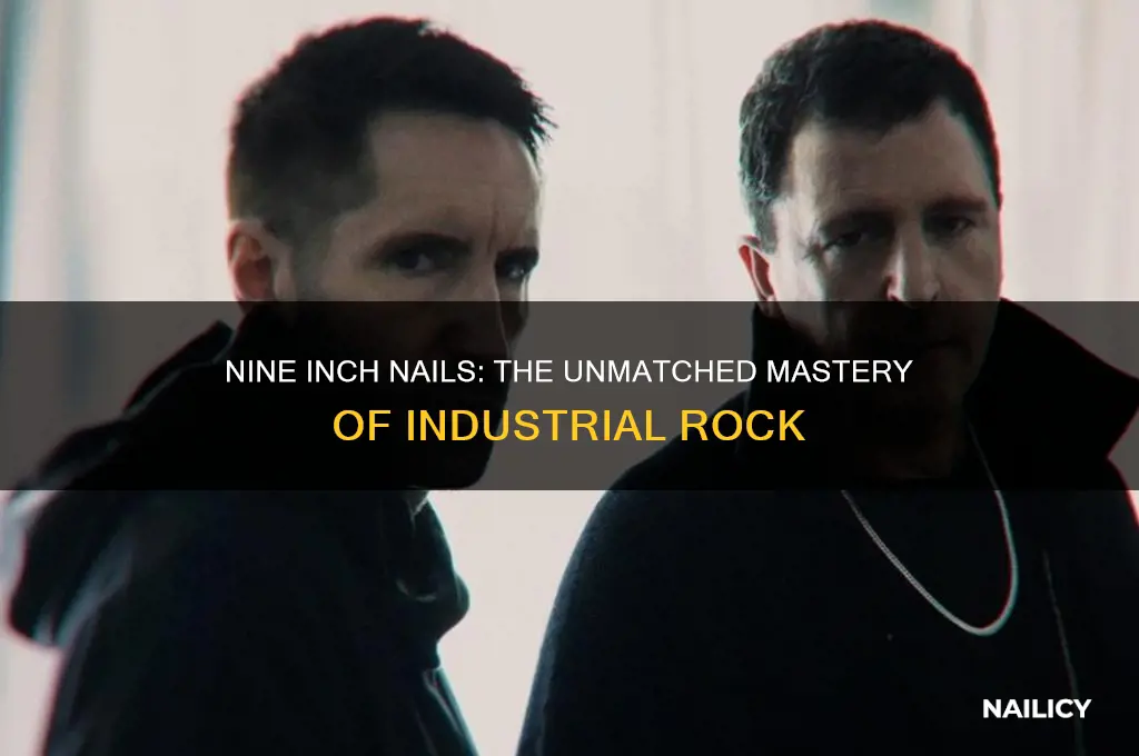 why is nine inch nails the best
