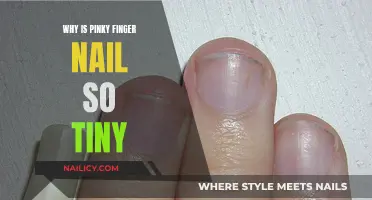 The Mystery of Our Tiny Pinky Fingernails