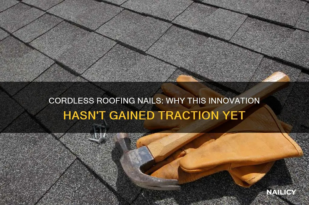 why is that cordless roofing nail not popular