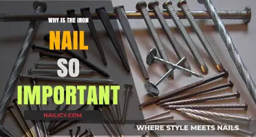 The Unseen Hero: Why Iron Nails Shape Our World