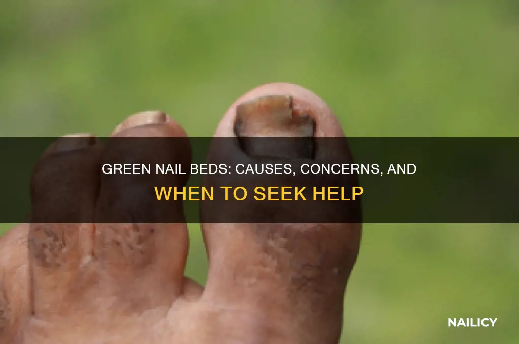 why is the nail bed looks green
