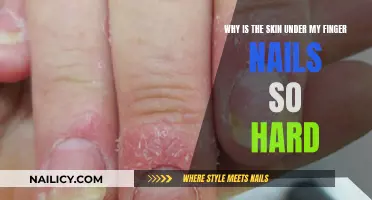 Unraveling the Mystery: Why the Skin Beneath Your Nails is So Tough