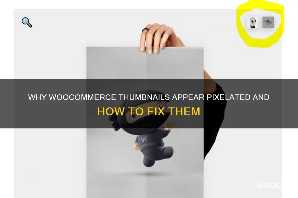 why is woo commerce thumb nail pixalated