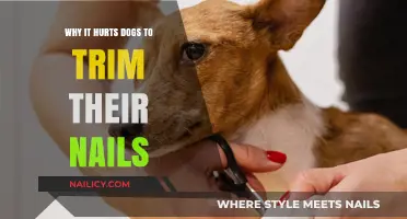 Trimming Nails: Painful for Dogs, Here's Why