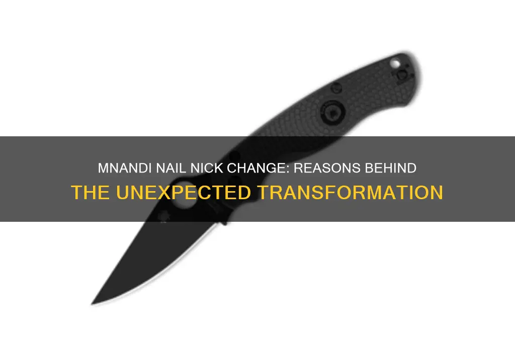 why mnandi nail nick change