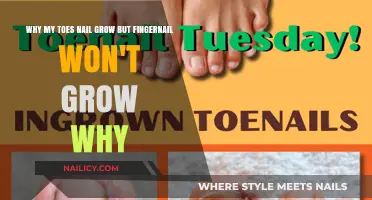 Toe Nail vs. Fingernail: Why Do They Grow Differently?