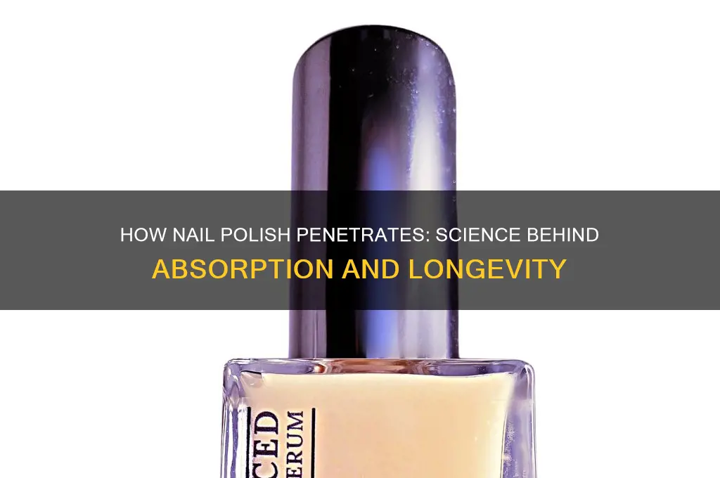 why nail polish pentrates the nail