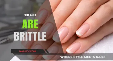 Brittle Nails Explained: Causes, Prevention, and Effective Solutions