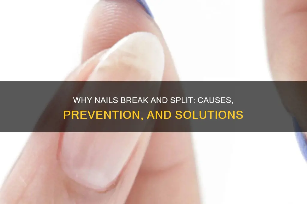 why nails break and split