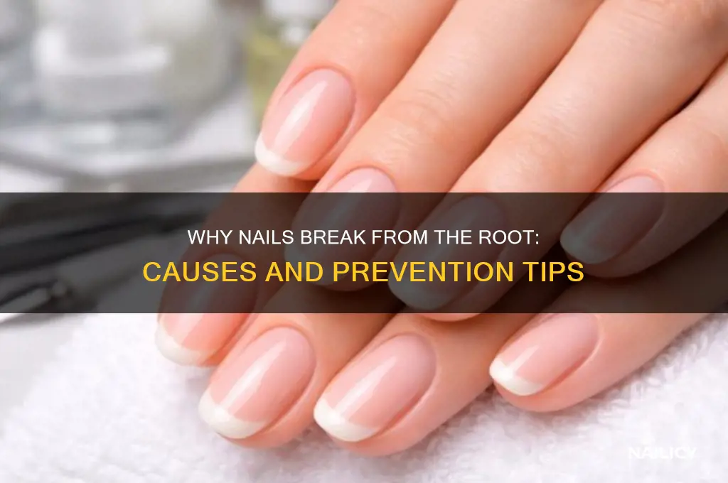 why nails break from root