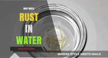 Understanding Why Nails Rust in Water: Causes and Prevention Tips