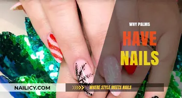 Unveiling the Mystery: Why Palms Have Nails and Their Purpose