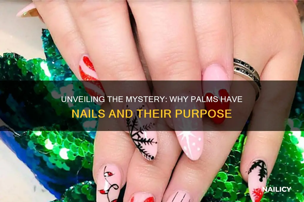 why palms have nails