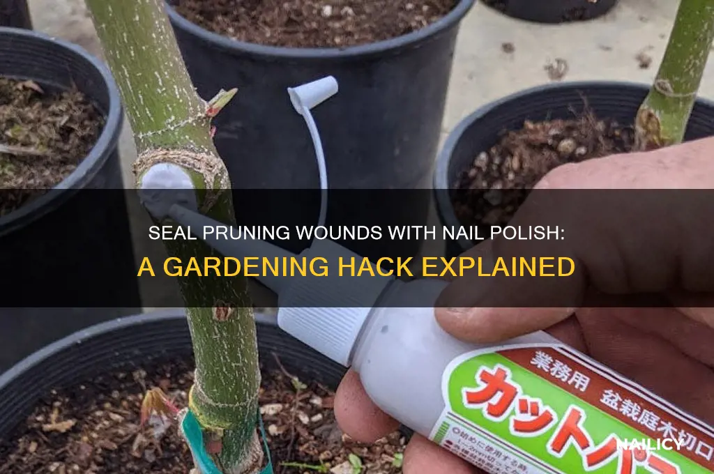 why seal pruning with nail polish