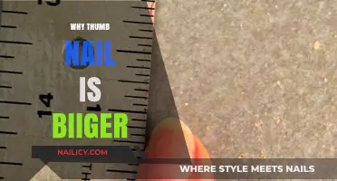Why Your Thumb Nail Grows Bigger: Surprising Facts Explained