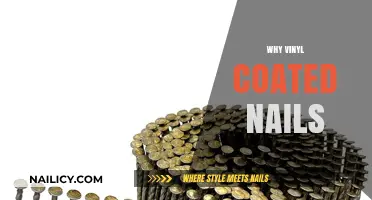 Why Vinyl Coated Nails Are the Ultimate Choice for Durability and Style