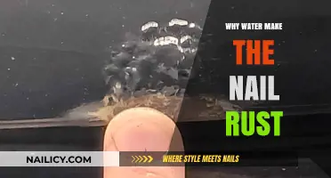 How Water Accelerates Nail Rusting: The Surprising Science Explained