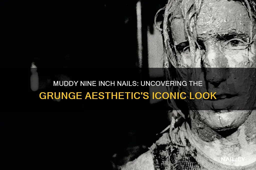 why were nine inch nails covered in mud