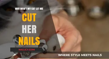Trimming Cat Nails: Why the Struggle?
