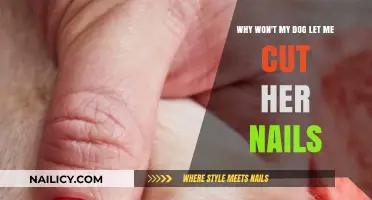 How to Trim Dog Nails Stress-Free