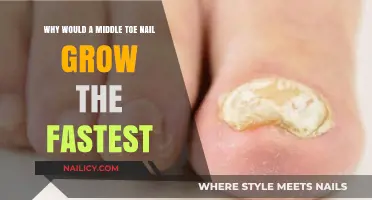 Middle Toe Nails: Faster Growth, Why?