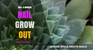 Broken Nails: Can They Grow Back?