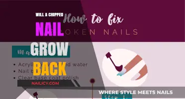 Chipped Nails: Can They Grow Back?
