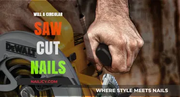 Circular Saws and Nails: A Safe Cut?