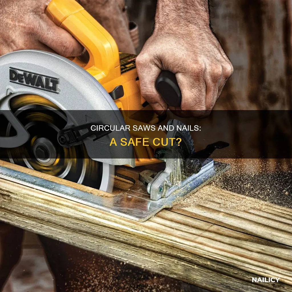 will a circular saw cut nails